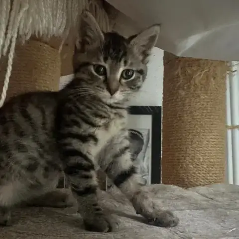 Winnie photo 3