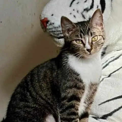 Aimy