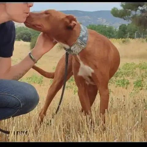 Futur