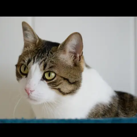 Marius photo 2