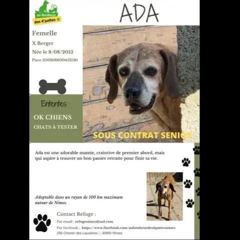 Ada