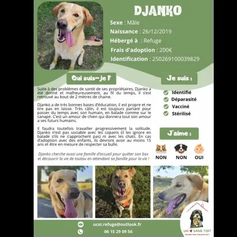 Djanko