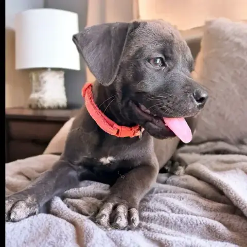 Kira photo 2
