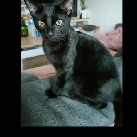 Moka photo 2