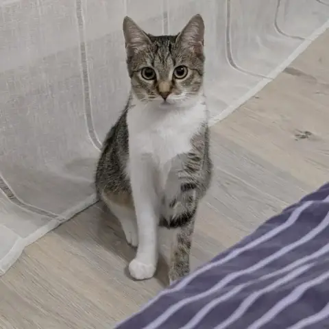 Séléné photo 2