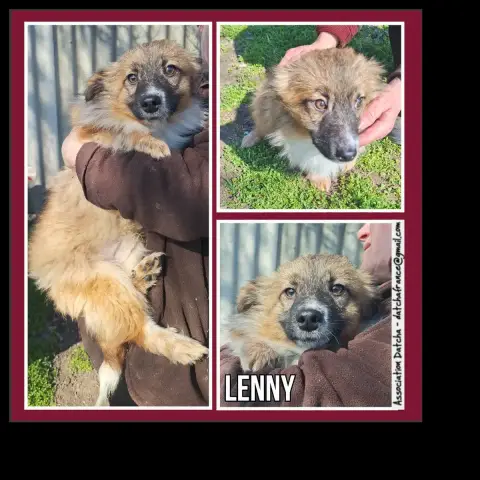 Lenny