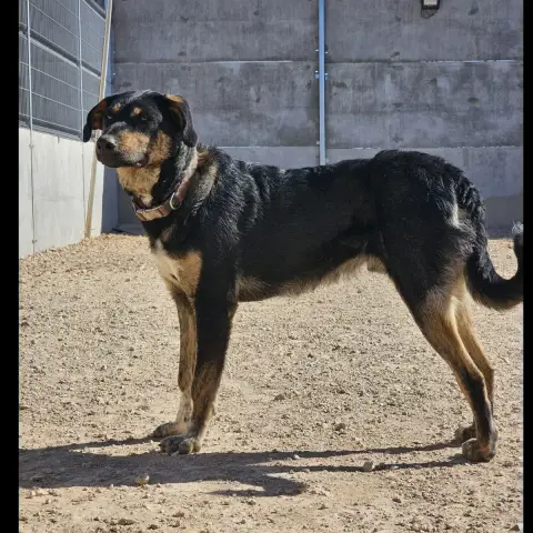 Hercules photo 3