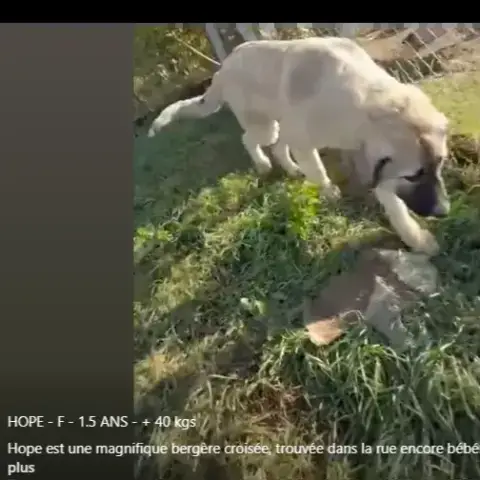 Hope