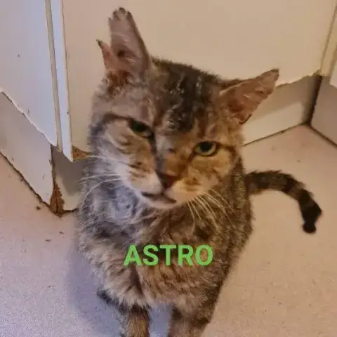 Astro photo 3