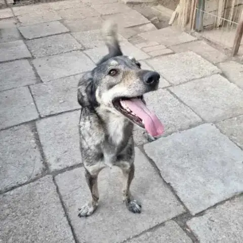 Patch