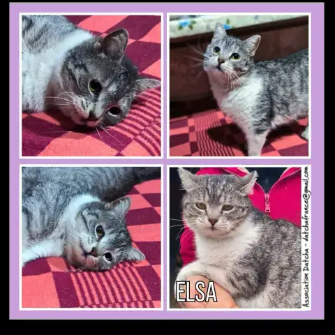 Elsa