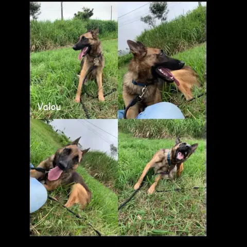 Valou