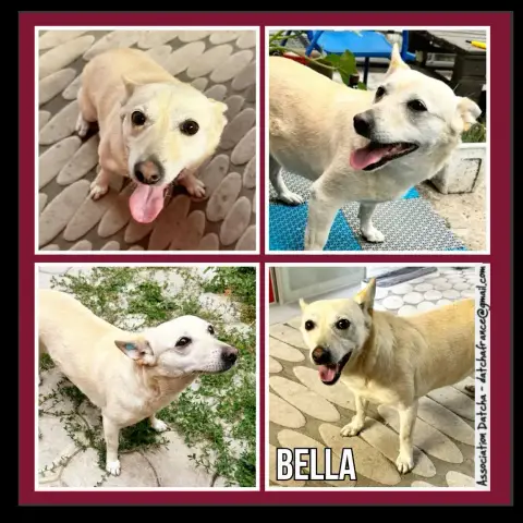 Bella