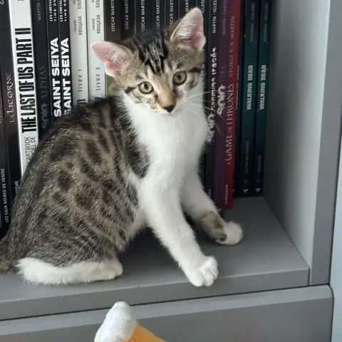 Stuart photo 2