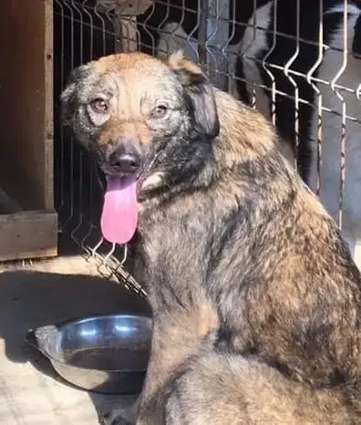 Alma