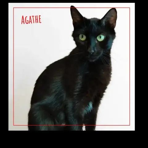 Agathe photo 2
