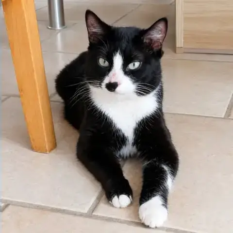 Minnie