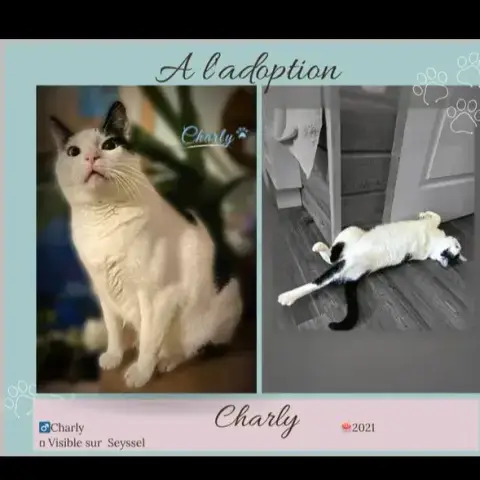 Charly