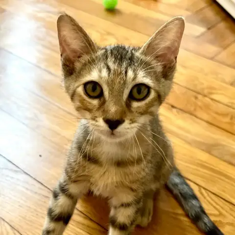 Bahia photo 2