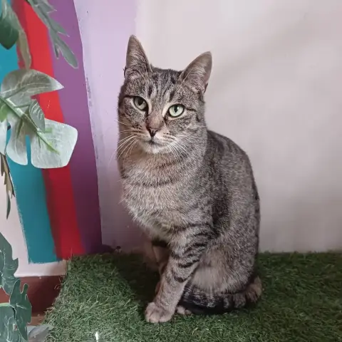 Pénélope