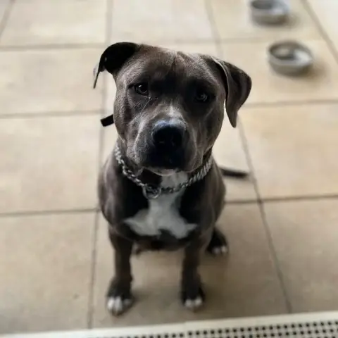 Snoop photo 2