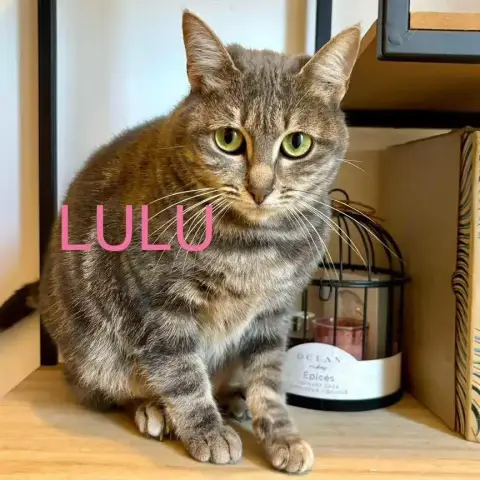 Lulu