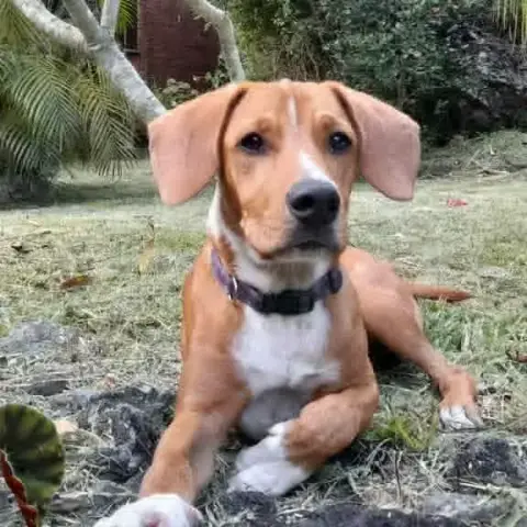 Sam