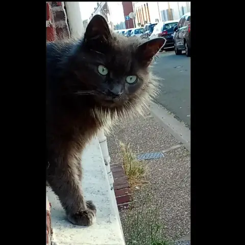Beauté