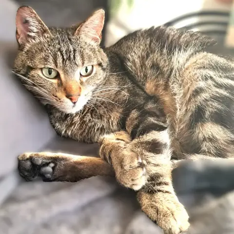 Néo photo 3