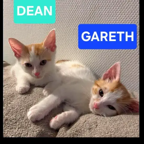 Dean Et Gareth