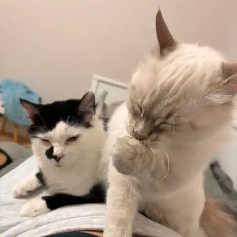 Freya Et Mani photo 2