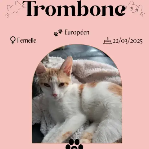 Trombone
