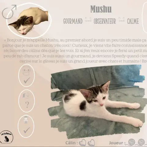 Mushu