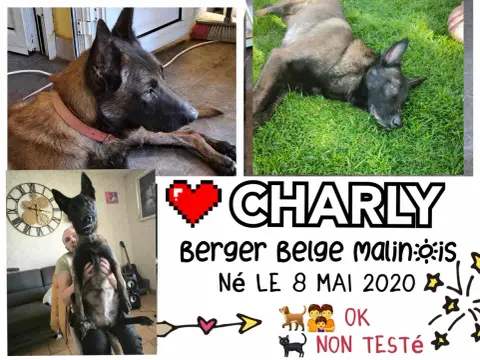 Charly
