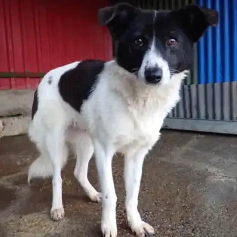 Luma