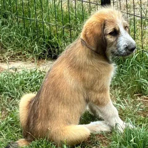 Coco photo 2
