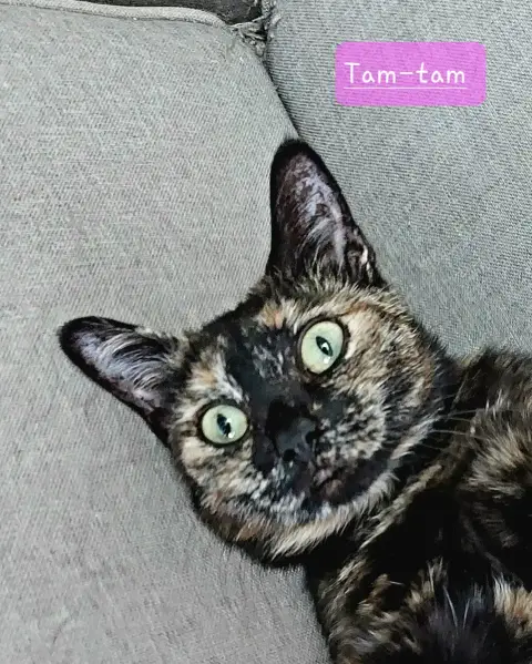 Zazie photo 3