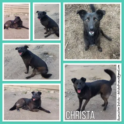 Christa