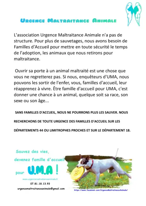 Recherche De Familles D'Accueil