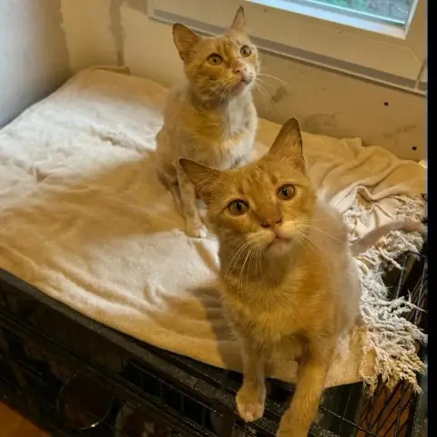 Dave Et Lionel