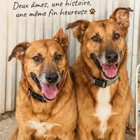 Odin&Thor