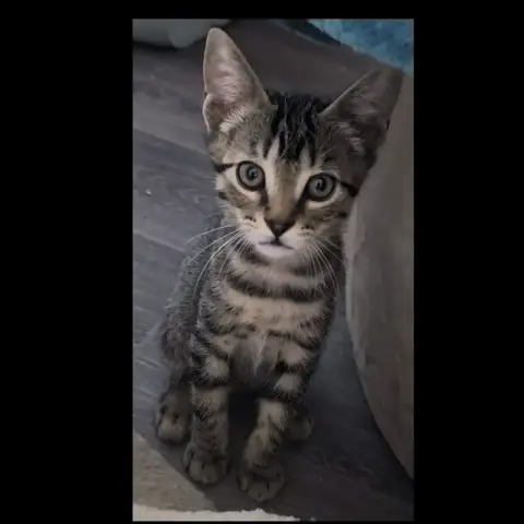 Pablo