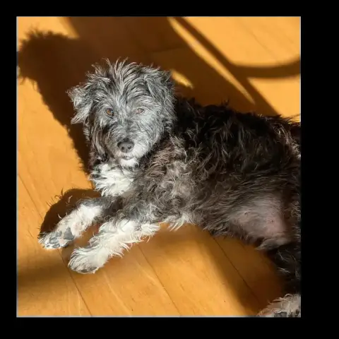Poupou photo 2