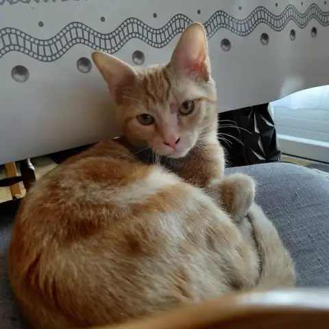 Albin photo 2