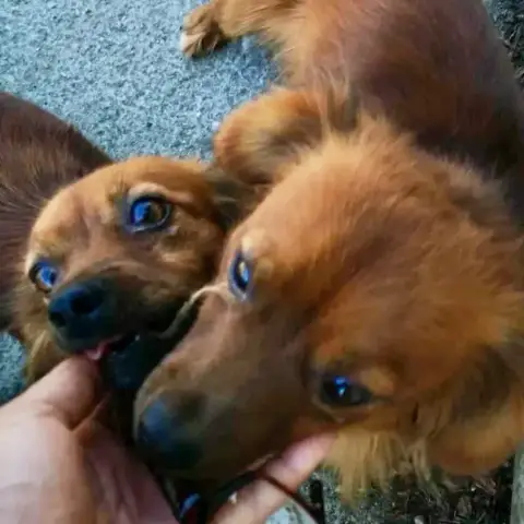 Bonnie Et Clyde