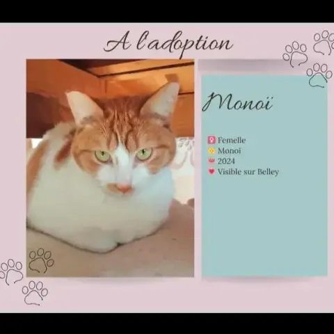 Monoi