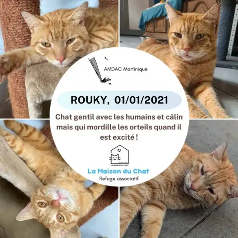 Roucky