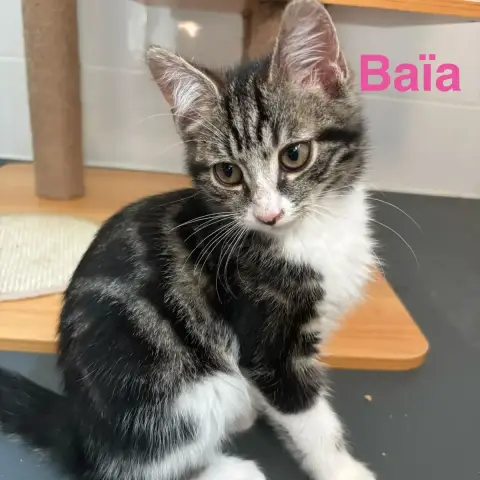 Baïa photo 2