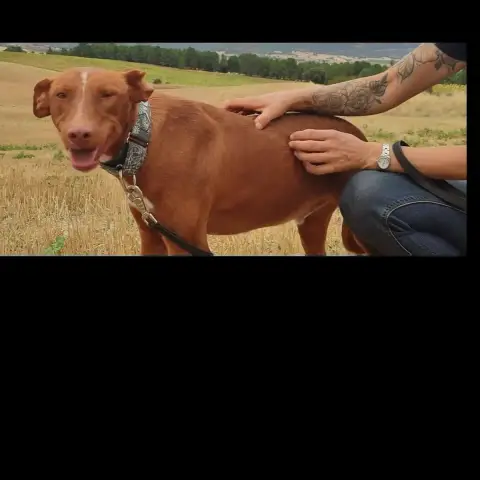 Futur photo 3