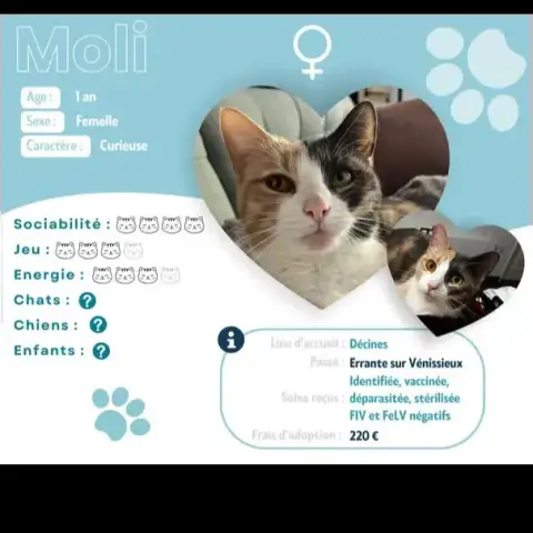 Moli